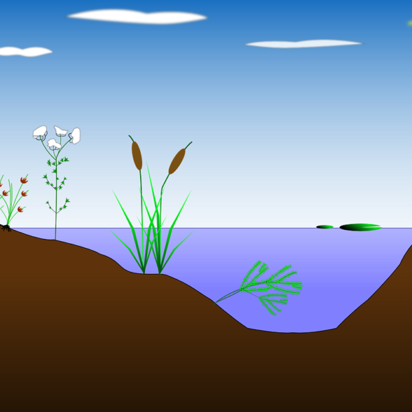 La Commission européenne publie un « guide pratique » visant à améliorer l’application de la directive Habitats - Image by OpenClipart-Vectors de Pixabay