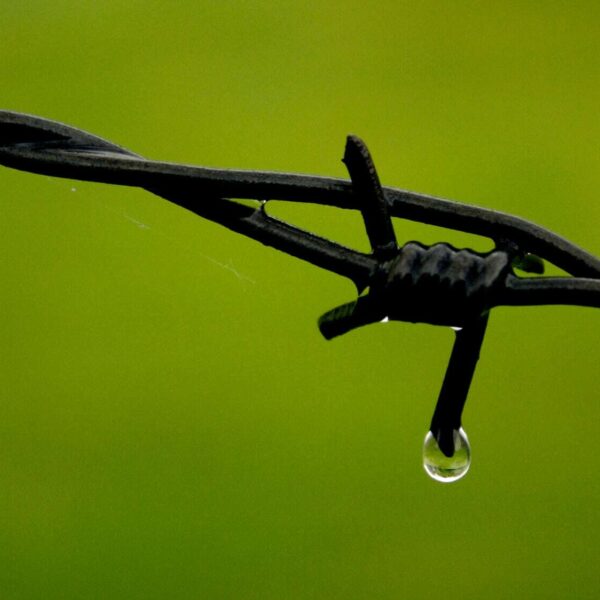 La protection des ressources en eau et les changements climatiques en Région wallonne - Alejo | Après le pluie (CC BY-SA 2.0)