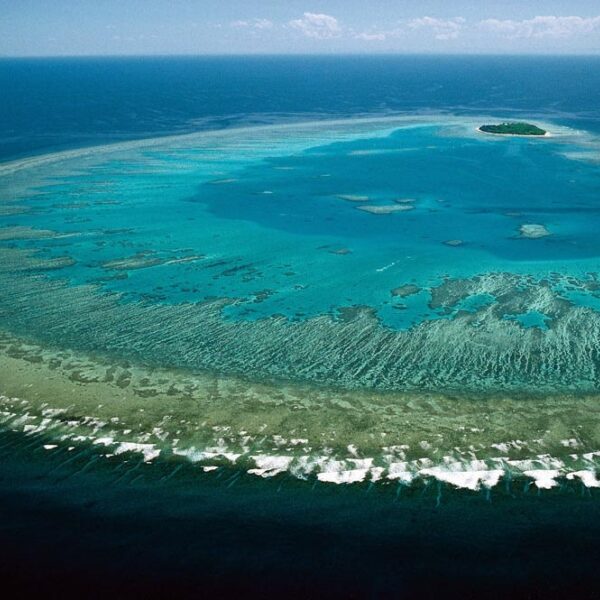 Monétisation de la Grande barrière de corail australienne inscrite au patrimoine mondial de l’UNESCO - Steve Parish - CC by 2.0