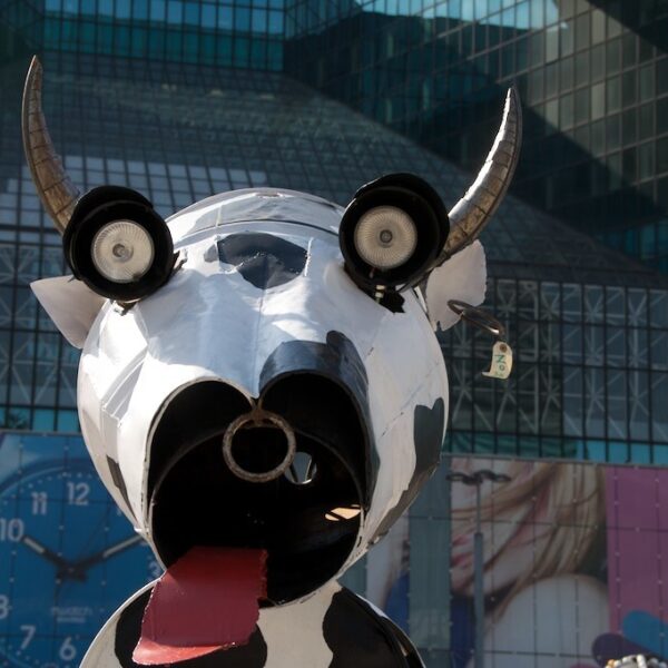 ​The dance of the mad cow - CC by SA - 2.0 - Philippe L